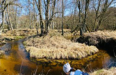 Domek TRZY BABY - Foto 21