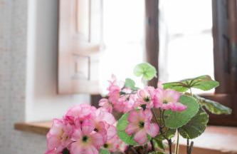 La Petronilla Appartamenti Montepetriolo - Foto 7