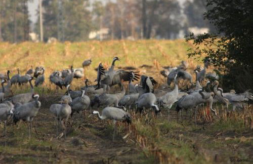 Ferienhaus Piratenburg Rövershagen - Photo 36
