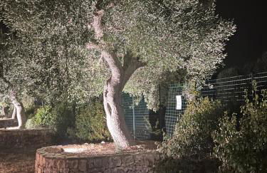 Trullo Tita - Foto 6