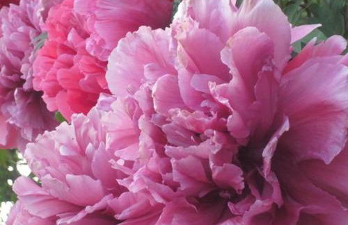 Landhaus op de Warft - Foto 53