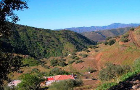 Hacienda Sol Trapiche - Foto 36