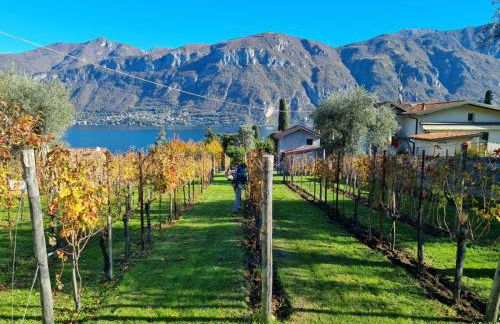 Bellagio Il Crotto - Foto 56