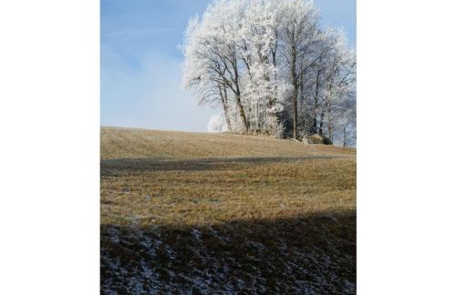 Gerda's Ferienhäuser - Foto 31