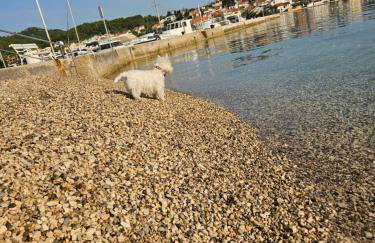 Plavo bijeli svijet - Photo 18