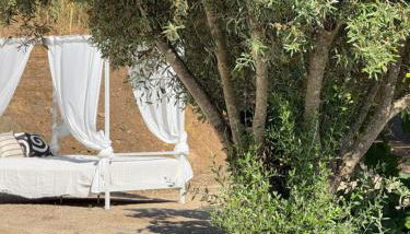 Monte do Pereiro - Foto 2