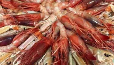 appartamenti del pescatore - Foto 5