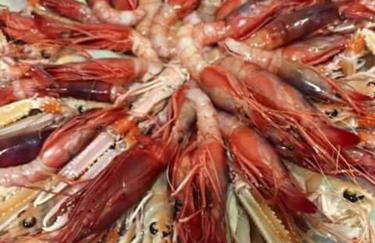 appartamenti del pescatore - Foto 5