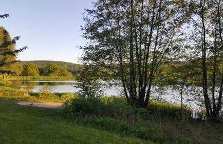 Seminar- & Gasthaus am Waldsee - Foto 14