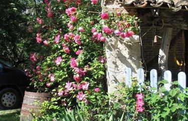 Maison de caractere en vallée du Lot - piscine privée -Le Colombier et la Bergerie - - Foto 27