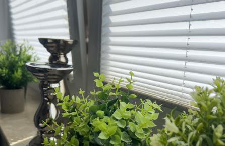 Stilvoll-Fewo mit Garten - Photo 47