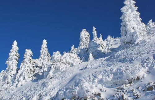 "Le Desman" Confortable T2 à la montagne face aux thermes RANDO, CURE - Foto 19