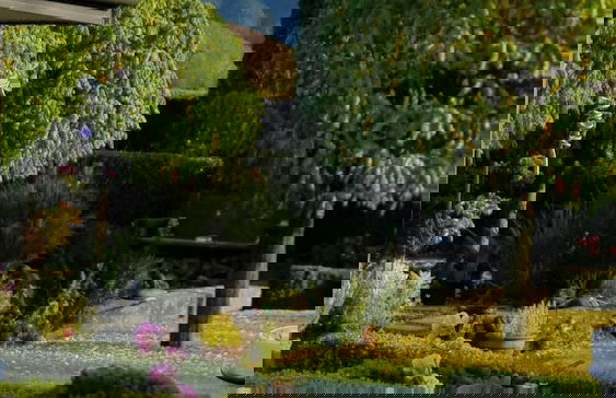 Marchmont Gardens - Photo 55