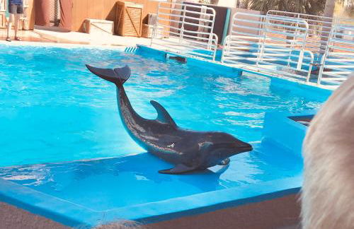 Beach Haven - Foto 27