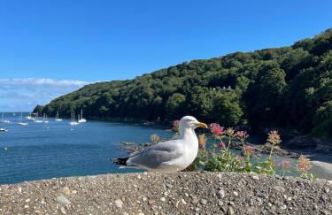 Seapink, Kingsand; luxury Cornish cottage with seaviews, bbq & paddleboards - Photo 19