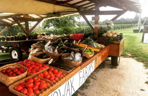 Villa Gavin - Foto 36