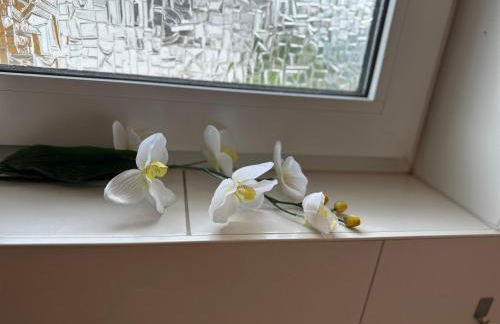 Ferienhaus Lönnehus - Foto 24