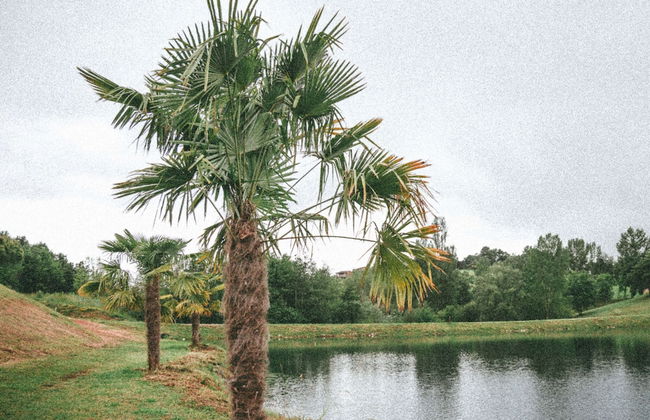 Chalet With Dishwasher on a Hill - Foto 19