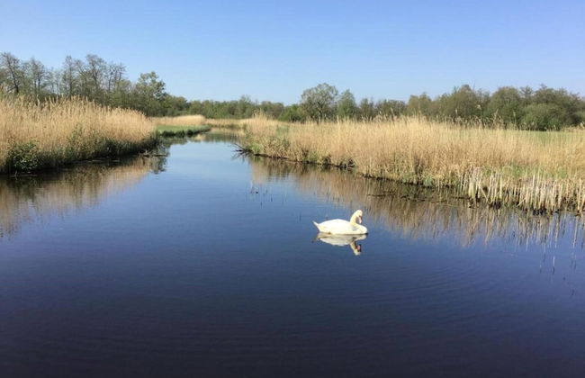 Rustic-chic Villa With Thatched Roof - Photo 33