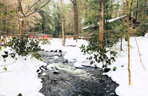 Cozy and Secluded Cabin with a Fireplace in the Poconos Mountains of Pennsylvania - Foto 19