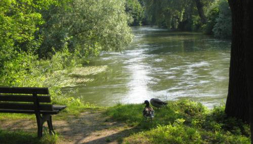 Bei München Ferienwohnung in Grafrath "Ampermoos" - Foto 3