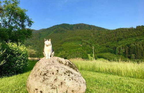 Felsenhof Simonswald - Foto 14