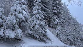 Villa Panoramica Indipendente - Foto 4