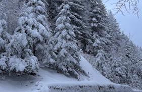 Villa Panoramica Indipendente - Photo 4