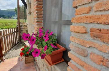 Casa Candidita - Foto 47