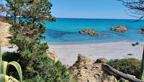 lamarzellina - Foto 5