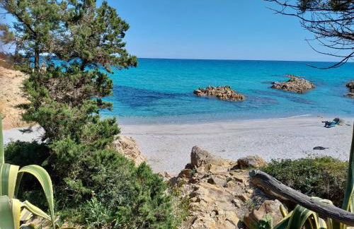 lamarzellina - Foto 5