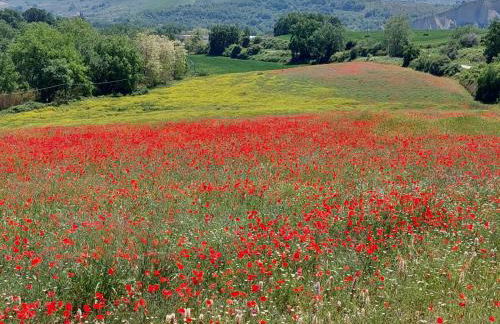 Heritage Apartment Nestled Between Sea and Hills - Foto 7