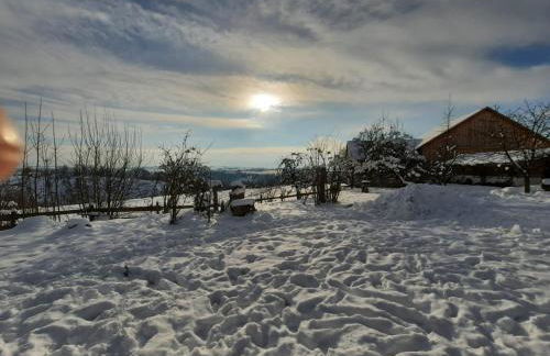 Am Kapferhof - Foto 16