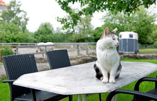 Landhüsli Illmensee - Foto 21