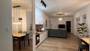 BoleslaviaApartments - Apartament Merci 2, parking free, air conditioning - Foto 3