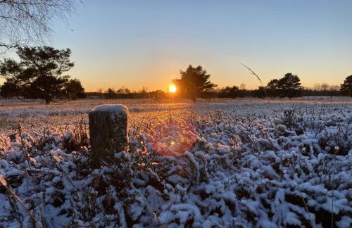 Ferienwohnung Am Holzfeld - Photo 35