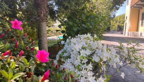 Villa Santa Chiara Lesa - appartamento vista lago con piscina - Foto 4