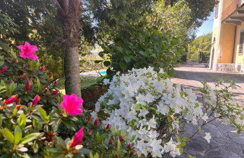 VSC Apartment - Appartamento in villa storica vista lago e piscina - Foto 2