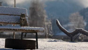 Sottla - your mountain home - Photo 3