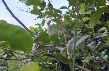 Il Giardino dell'Artista Stylish Home a Milano - Foto 49