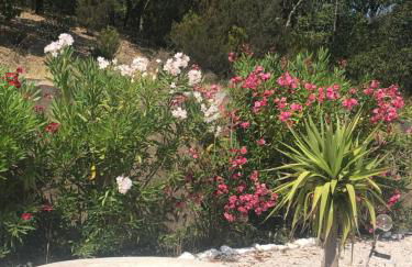 Mas de Bagarry - Foto 2