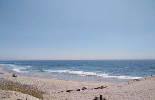 Sal, Terra e Mar - Foto 22