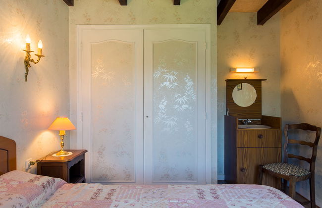 Blaue Hortensie - Foto 11