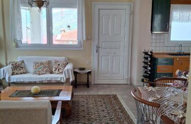 4BR Trekkers Retreat in Spilaio Grevena - Foto 7