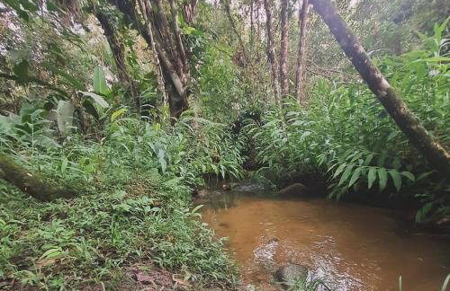 Chalé Saíra - casa simples no meio da Mata Atlântica! - Photo 5