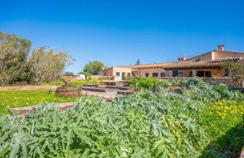 Agroturismo Mondrago -Antic Na Martina- - Foto 41