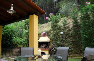 Six Steps From The Forest - Photo 44