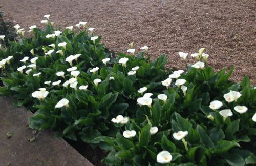 Apartamento Turistico Cigüeña de Arguedas - Foto 74