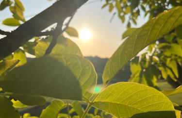 La Colline de Tilleul - Les Tilleuls - 4 STAR RATED - stunning cottage with pool near Aubeterre in idyllic location - Foto 44