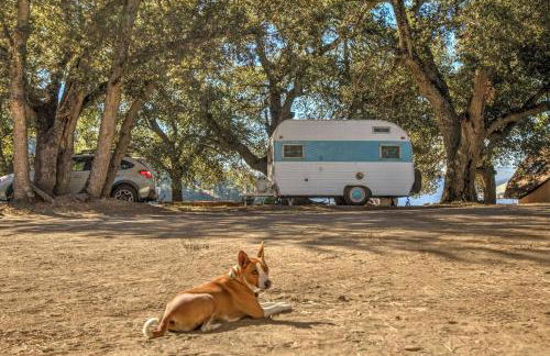 Group Bunkhouse Sleeps 12 Mountain Views - Foto 20